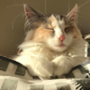 Meet your Posher, Meabh